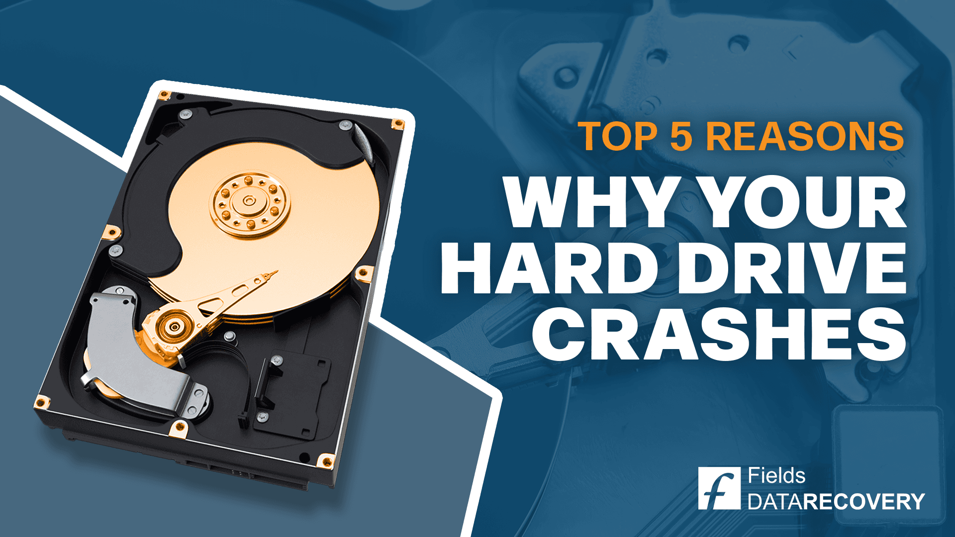 The Top 5 Reasons Why Your Hard Drive Crashes