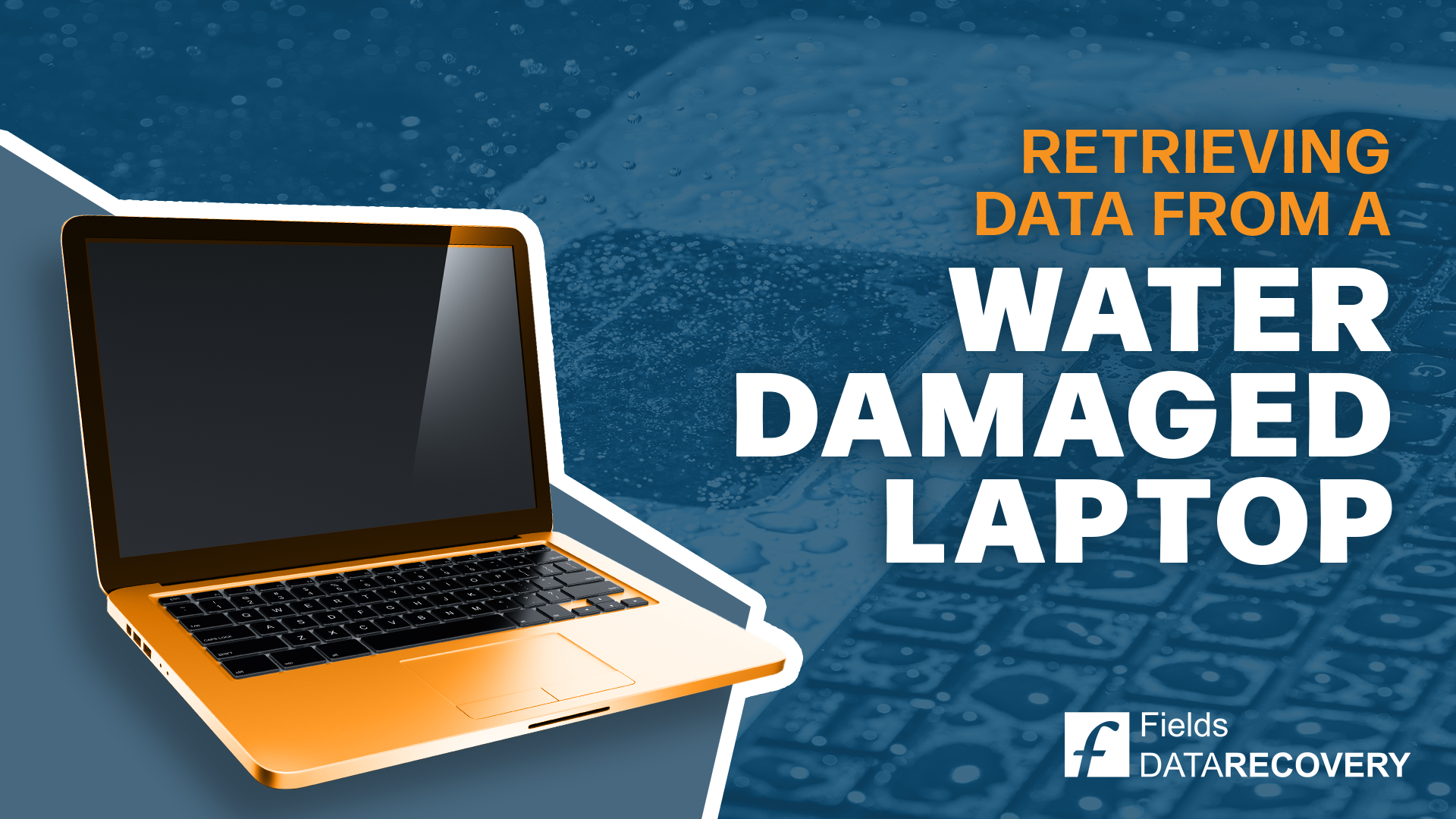 The Ultimate Guide To Retrieving Data From A Water Damaged